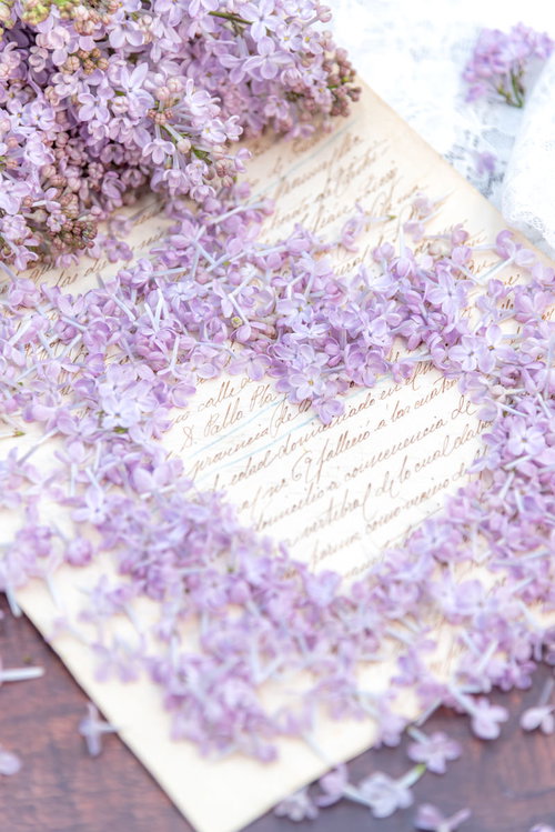 ライラックのハートから覗くラブレター～淡紫の恋文～