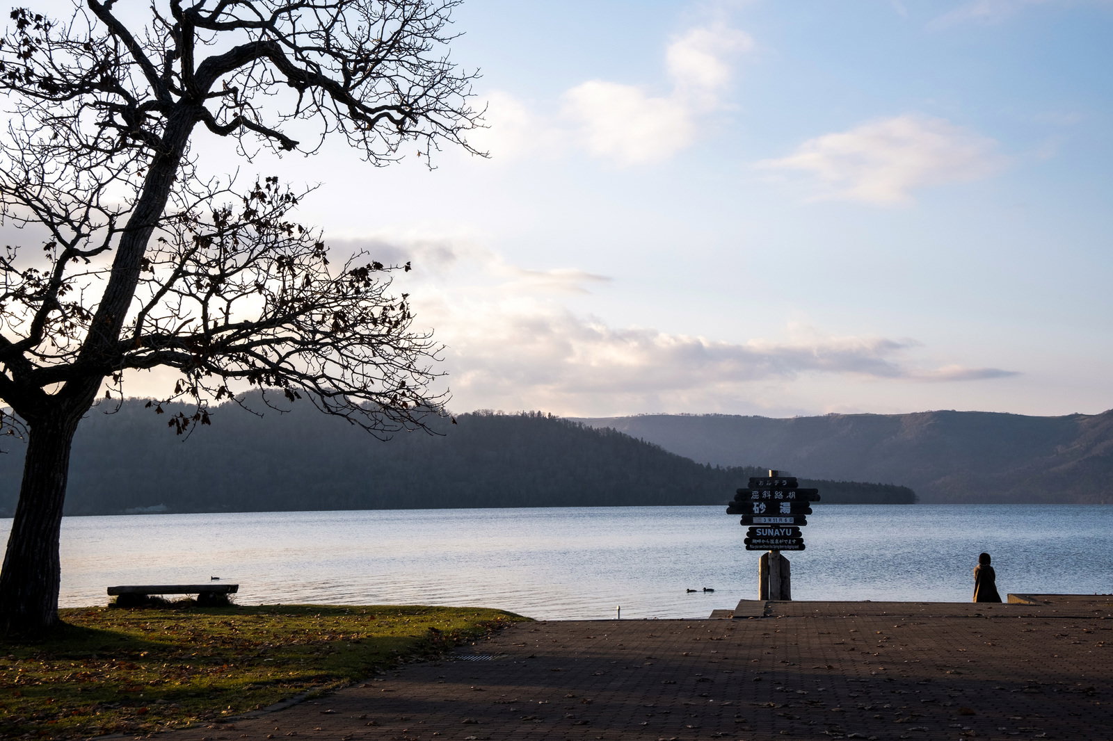 夕暮れの屈斜路湖畔で木々のシルエットと看板が見える風景