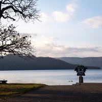 北海道・屈斜路湖の夕暮れ時の湖畔風景と樹木のシルエットの写真