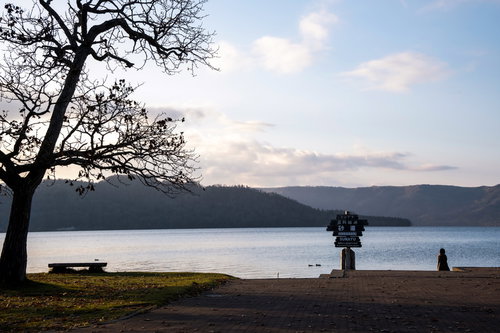 北海道・屈斜路湖の夕暮れ時の湖畔風景と樹木のシルエット