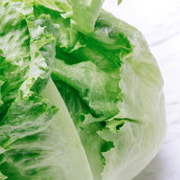 採れたてシャキシャキのレタス～大刀洗産の新鮮野菜の写真