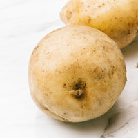 採れたてのじゃがいもゴロゴロ｜新鮮な野菜の写真