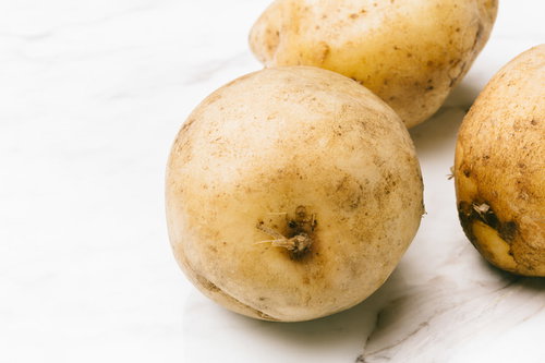 採れたてのじゃがいもゴロゴロ｜新鮮な野菜