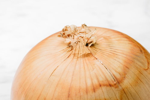 採れたてたまねぎの薄皮が重なる表皮と根部分