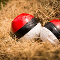 孵化を待つ紅白ボールの写真