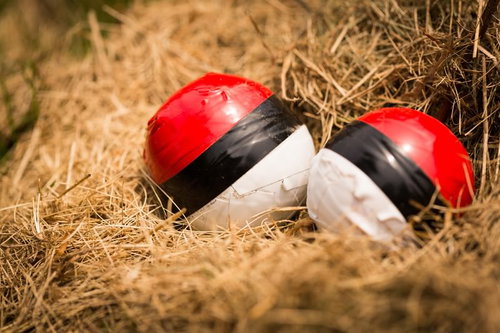 孵化を待つ紅白ボール