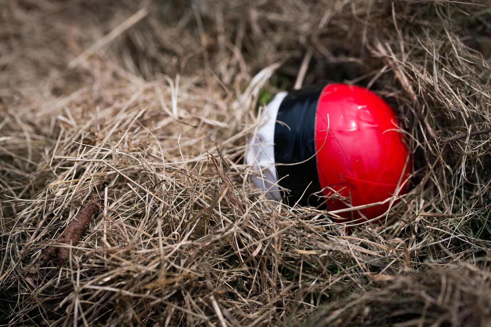 枯れ草の中に隠れた赤白のモンスターボール