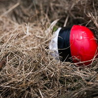 延期と騒がれ、なかなか姿をあらわさない紅白ボールの写真