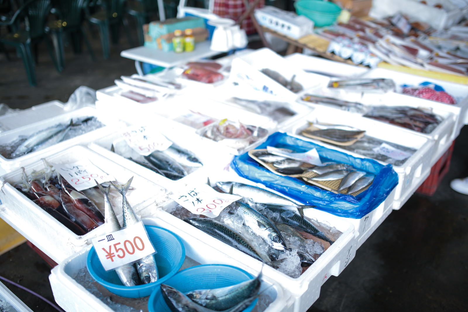 いすみ市の朝市に並ぶ多種類の新鮮な魚類と価格札