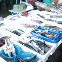 千葉県いすみ市の朝市で売られている鮮魚と海産物の写真