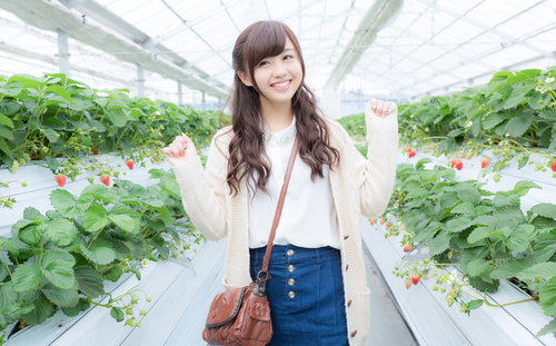 ビニールハウスのいちご狩りではしゃぐ女性