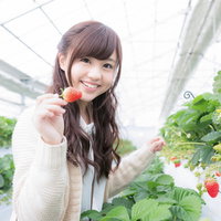 ビニールハウスで真っ赤な苺を摘み嬉しそうに笑う女性の写真