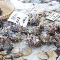 いすみ市大原漁港の朝市で販売されるサザエと海産物の写真