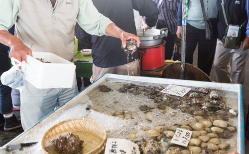 千葉県いすみ市の大原漁港朝市でサザエをお買い上げ
