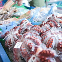 朝市に並ぶ真蛸の氷漬け、千葉県いすみ市の海産物（海産物）の写真