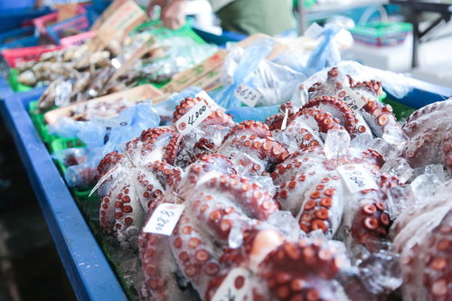 朝市に並ぶ真蛸の氷漬け、千葉県いすみ市の海産物（海産物）