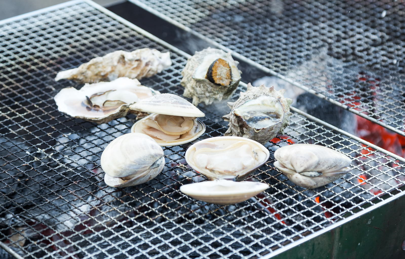炭火焼きされた複数のサザエとハマグリが金属製の網の上に並んでいる