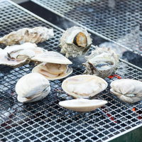 サザエやハマグリを炭火焼きにした網焼き、千葉県の朝市での海鮮BBQの写真