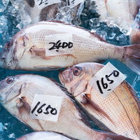 千葉県いすみ市の港の朝市に並ぶ採れたての真鯛を氷詰めで展示の写真