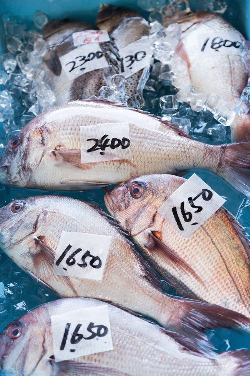 千葉県いすみ市の港の朝市に並ぶ採れたての真鯛を氷詰めで展示