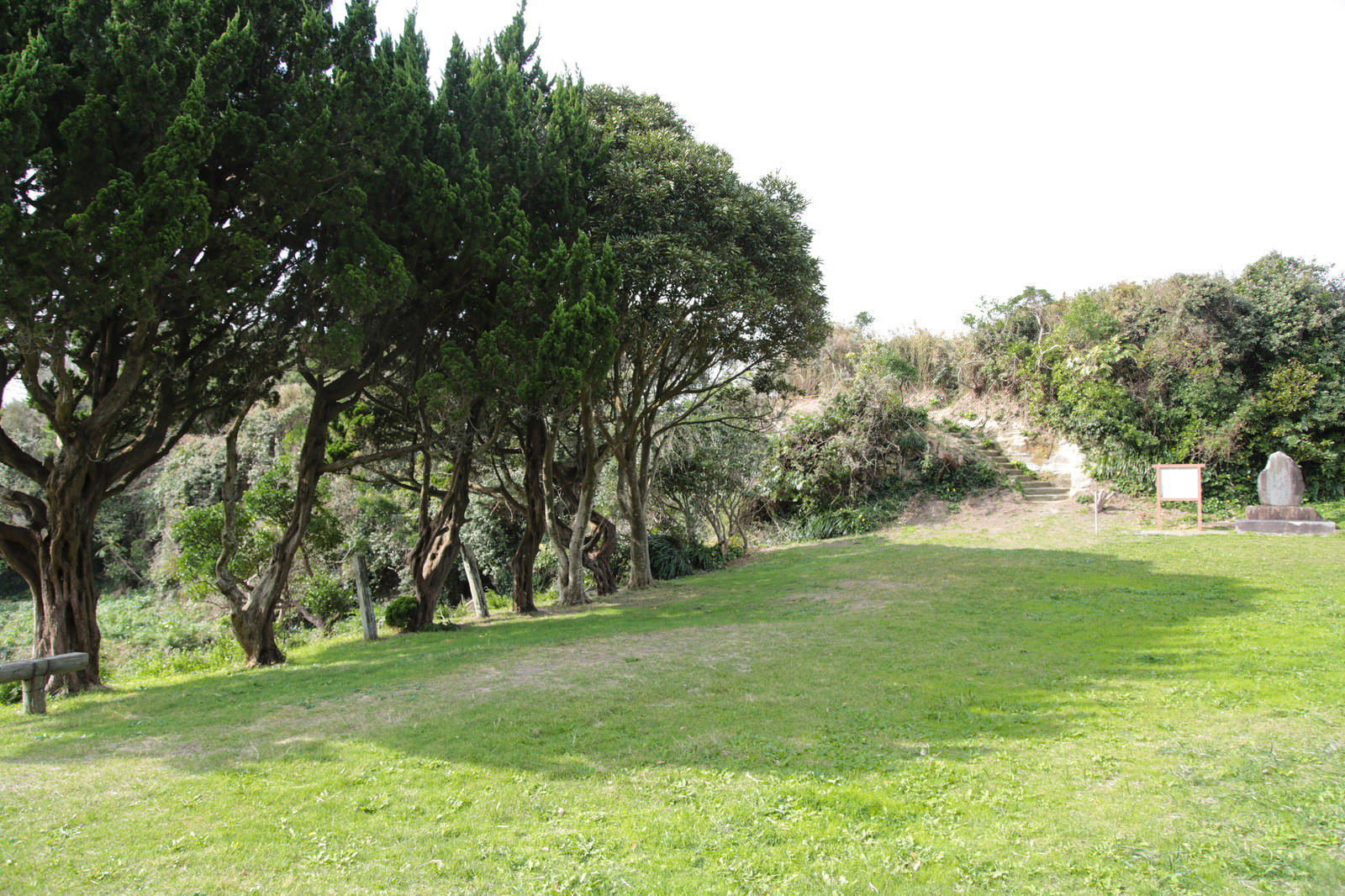 いすみ市の小浜城跡にある芝生広場と歴史的な樹木