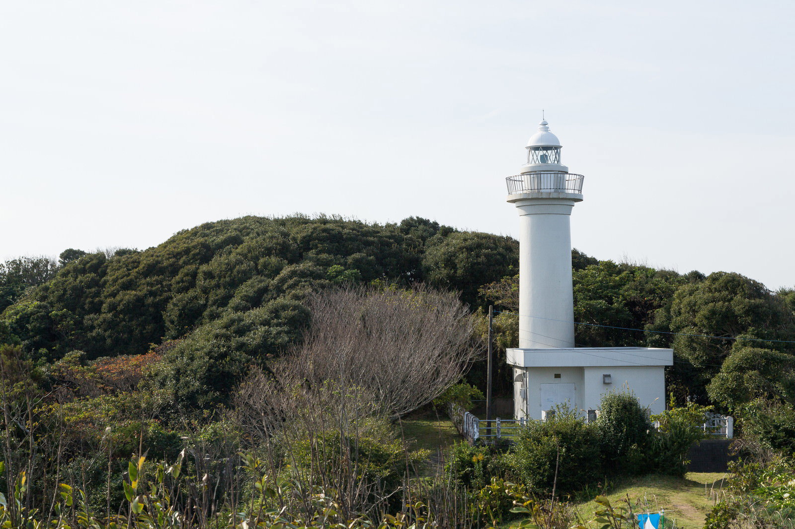 丘陵に立つ房総太東崎燈台の全景、手前には草木が生茂る