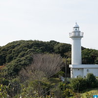 房総太東崎燈台と季節の丘陵風景の写真