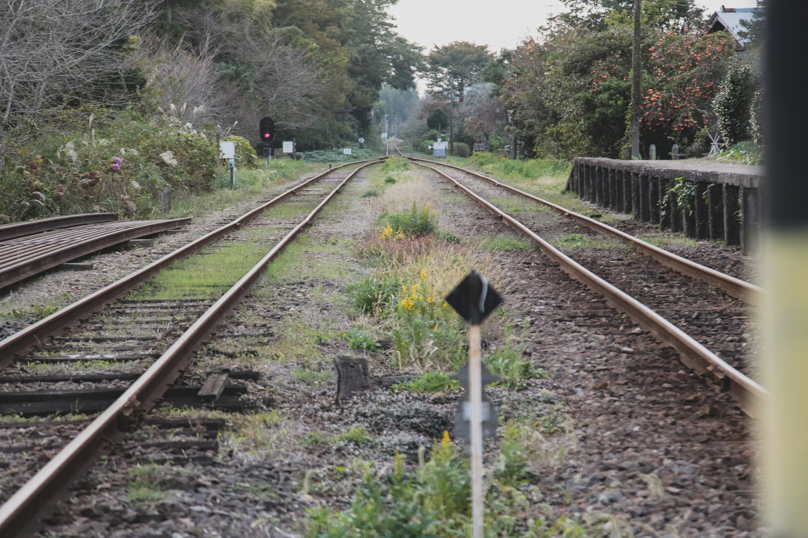 いすみ鉄道の線路が遠くまで伸びる田舎の駅風景