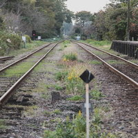 いすみ鉄道の線路を正面から望む風景 千葉県の無人駅の写真