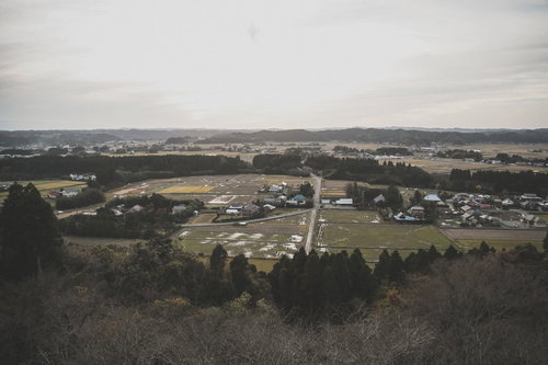 高台から一望するいすみ市の田舎風景と広がる水田・農地の景色