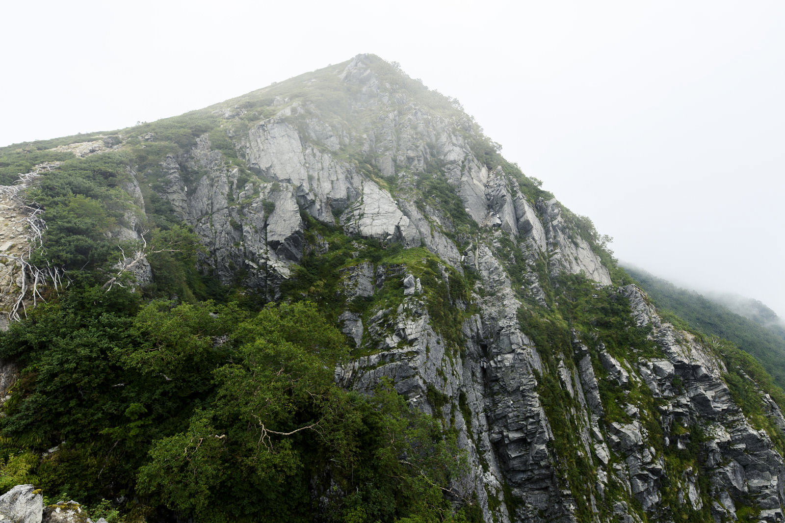 中央アルプスの稜線に切り立つ岩壁と緑豊かな山岳風景