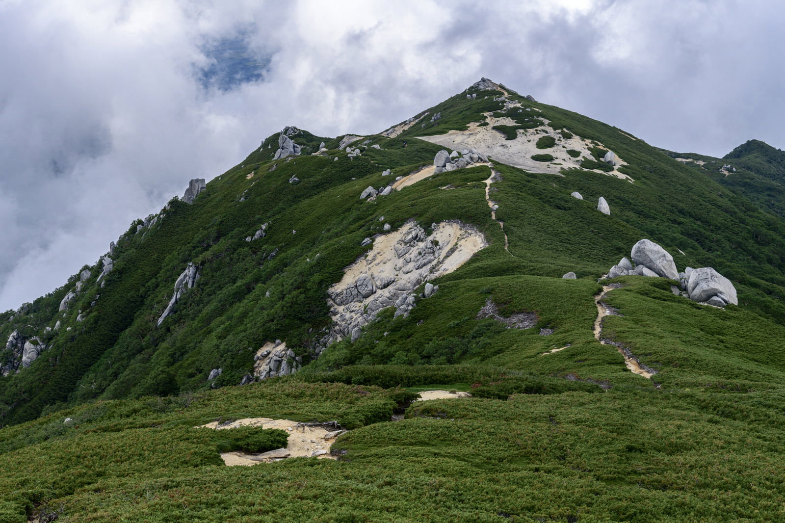 池山尾根稜線から見た空木岳山頂方面の緑豊かな山容