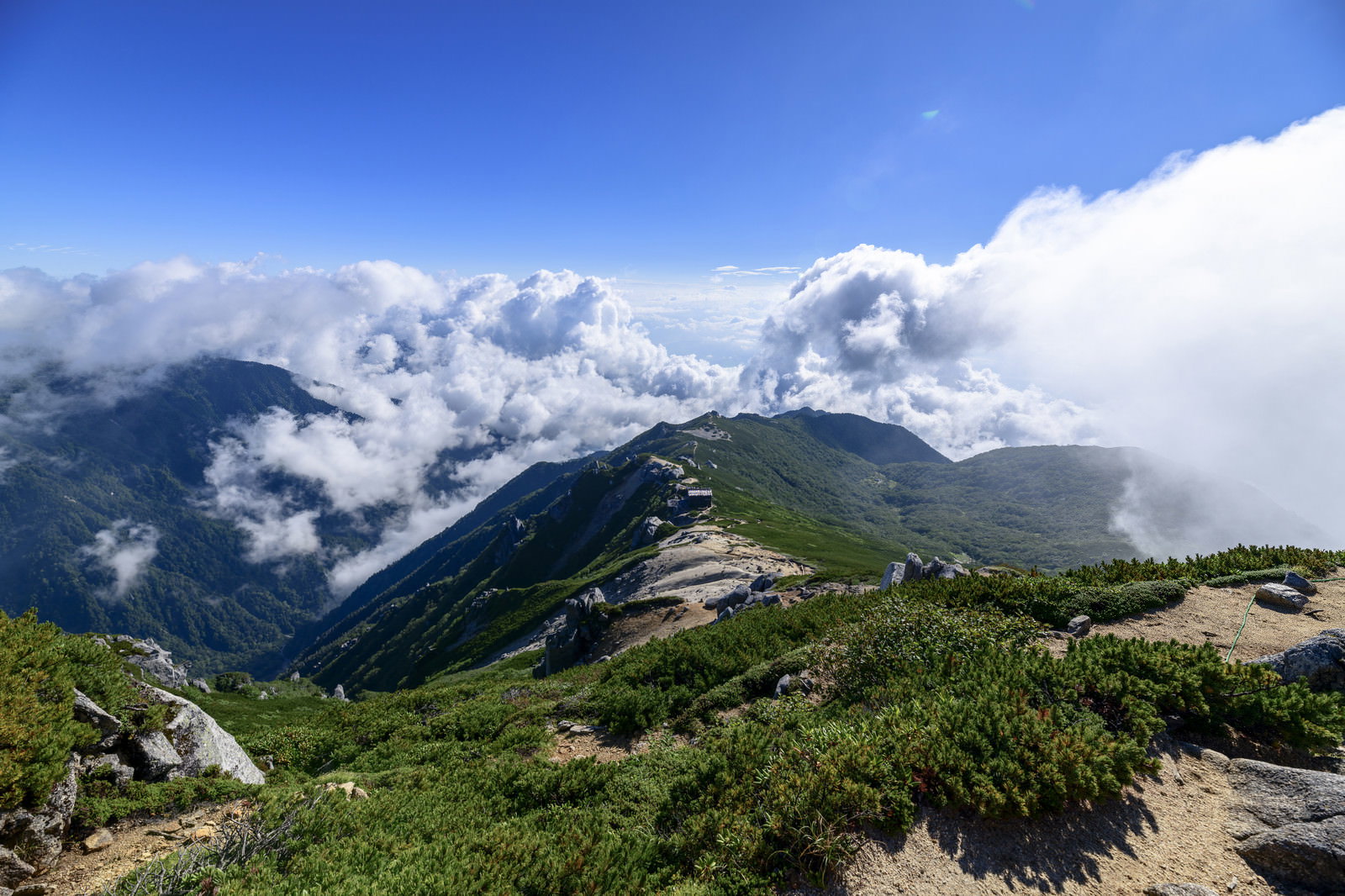 青空の下、緑の稜線を歩く登山道と遠方の駒峰ヒュッテ