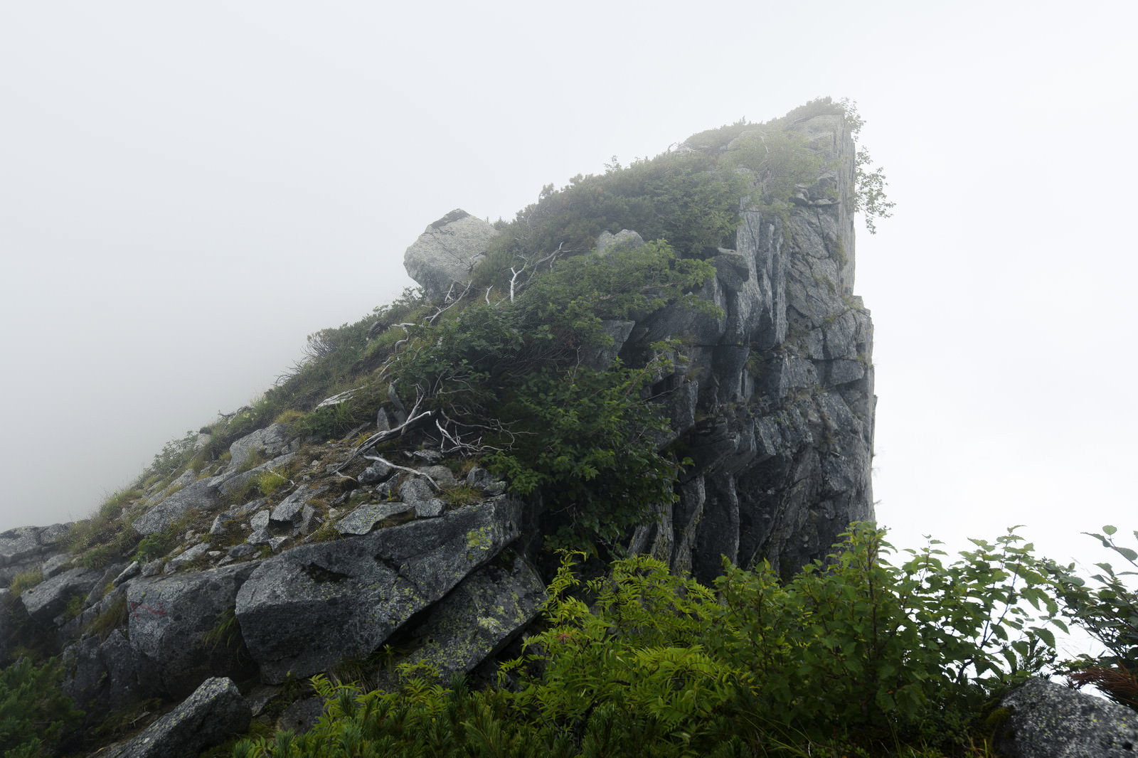 霧の中に突き出た空木岳の岩峰