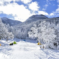 凍てつく木々が広がるテント場から見上げる日本百名山・八ヶ岳連峰の写真