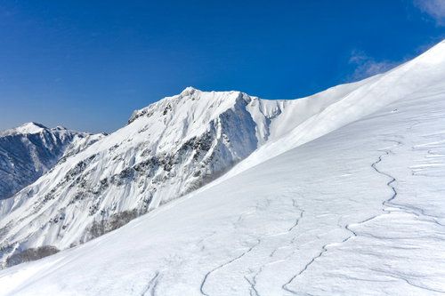 地吹雪が吹き付ける日本百名山・谷川岳中腹と川棚ノ頭