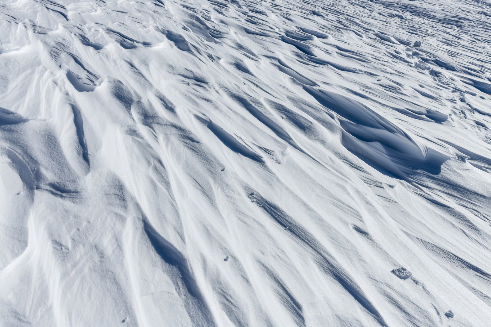 谷川岳の山肌に広がる強風によってできたシュカラブの雪模様