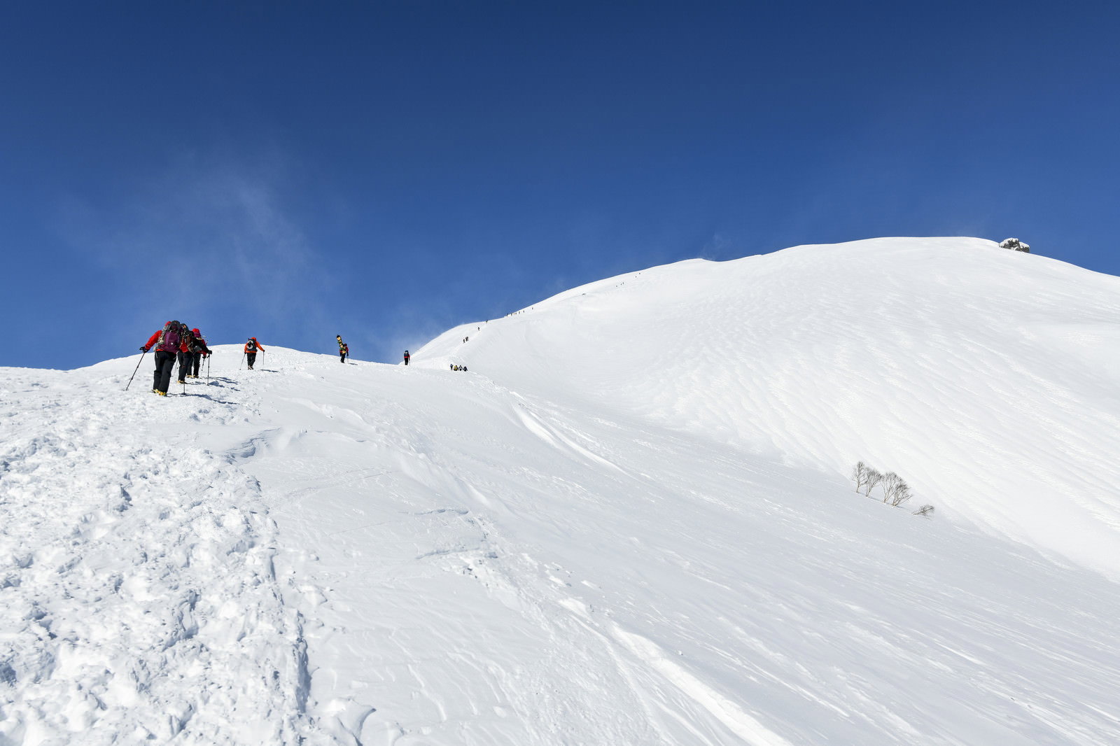 雪に覆われた谷川岳の山頂付近を歩く登山者たちと青い空