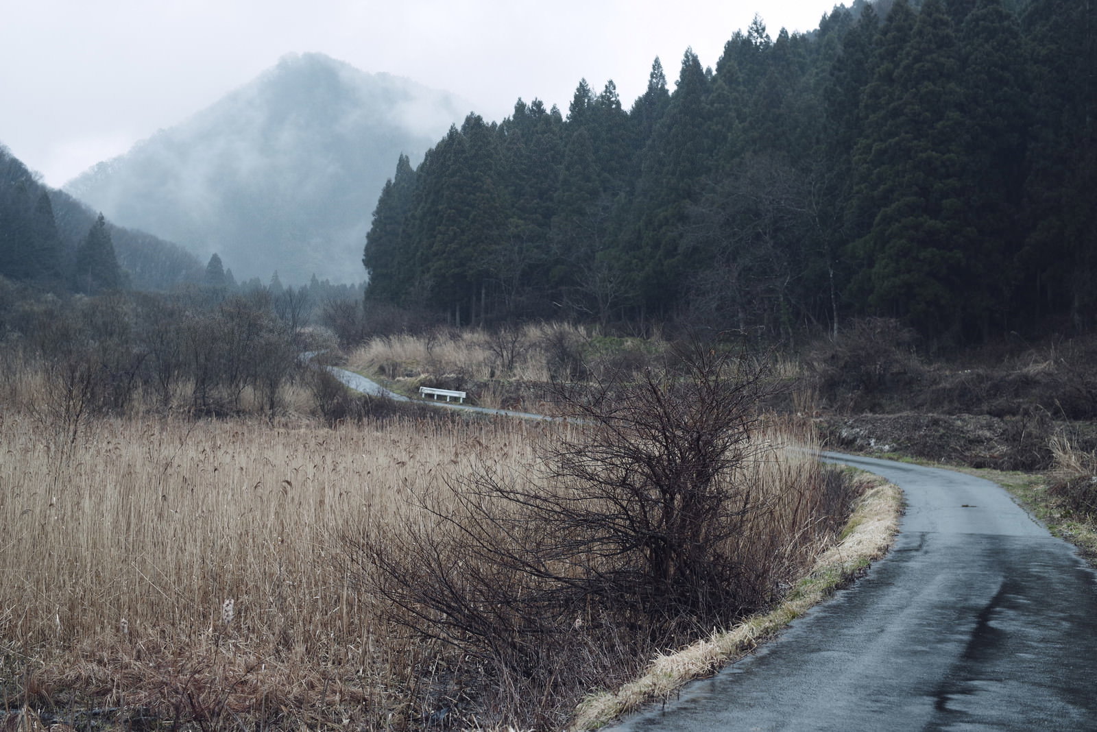 面白山高原へと続く林道と背景の山々