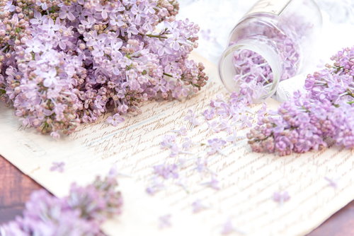 ボトルから散るライラックの花と手紙、春のグリーティングカード