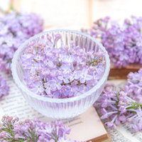 楽譜の上に浮かぶライラックの花々と春の香りの写真