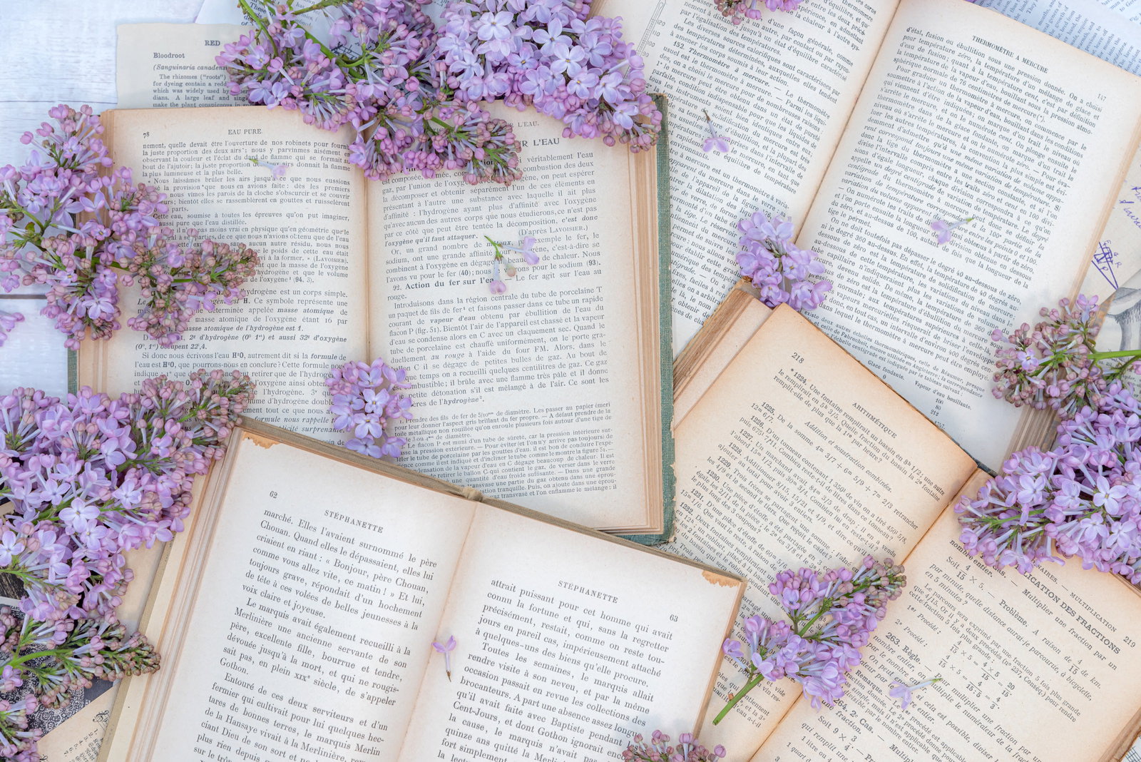 白い木目調の背景に散らばった開かれた洋書と紫色のライラックの花