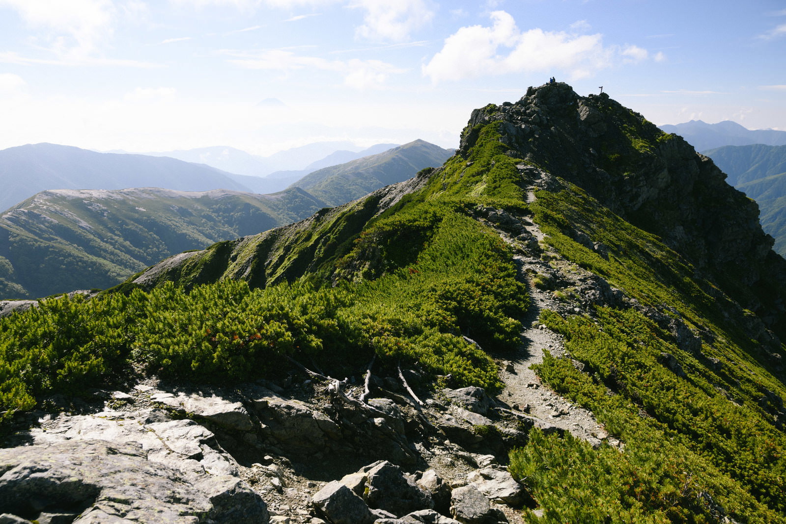 塩見岳山頂の緑豊かな稜線と青空が広がる山岳風景