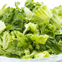 白いボウルに盛り付けた新鮮な葉物サラダ、レタスとリーフレタスの野菜盛り合わせの写真