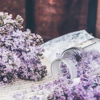 手紙にこぼれるライラックの花と透明なボトルの写真