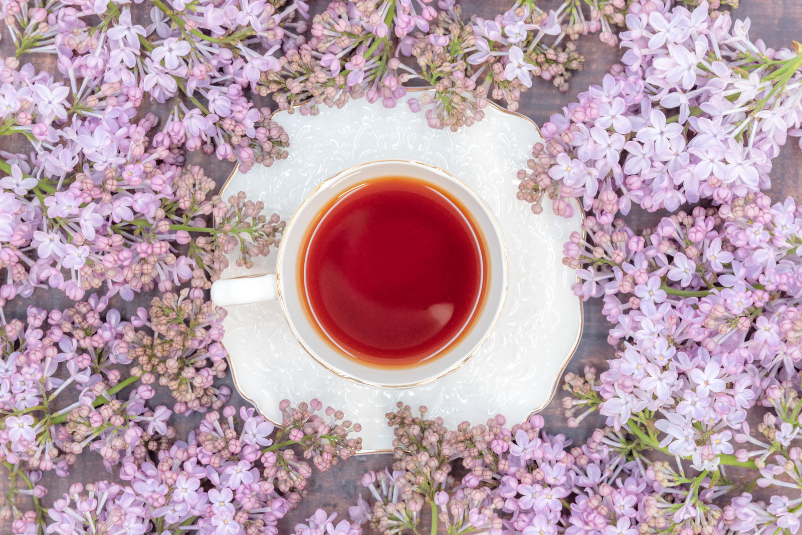 紫色のライラックの花に囲まれた白いティーカップと赤い紅茶