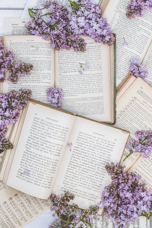 敷き詰められた洋書に散らばるライラックと読書