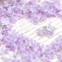 ライラックの花びらで作るハートとエンゲージリングの写真