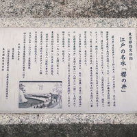 江戸の名水「櫻の井」の説明の写真