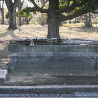 東京都指定旧跡 江戸の名水「櫻の井」の写真